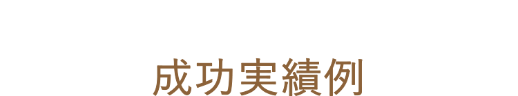 成功実績例